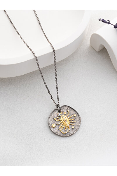 Two Arts Jewelry Kadın 925 Ayar Gümüş Akrep Burcu Kolye | Kişiye Özel Tasarım | Hediye Kutusunda