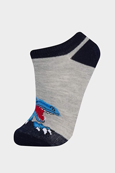 DeFacto Erkek Çocuk 5'li Pamuklu Patik Çorap F4705A8NS