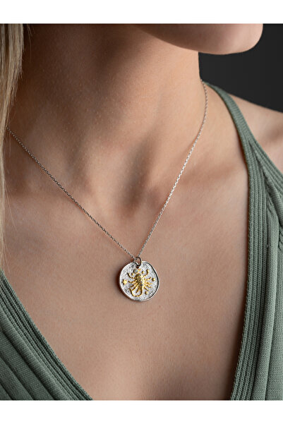 Two Arts Jewelry Kadın 925 Ayar Gümüş Akrep Burcu Kolye | Kişiye Özel Tasarım | Hediye Kutusunda
