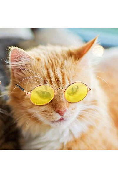 Petza نظارات القط بوتر