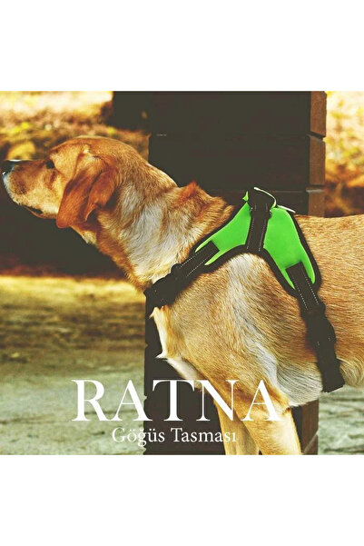 Petza Köpek Göğüs Tasması Ratna Sarı