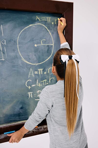 DeFacto Girl's Ribbon Detailed Buckle F6497Axns