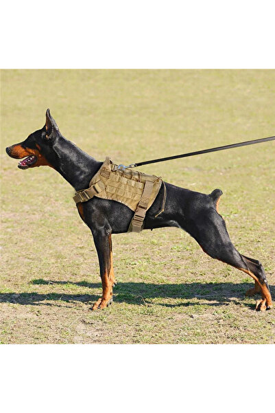 Petza Köpek Göğüs Tasması Combat