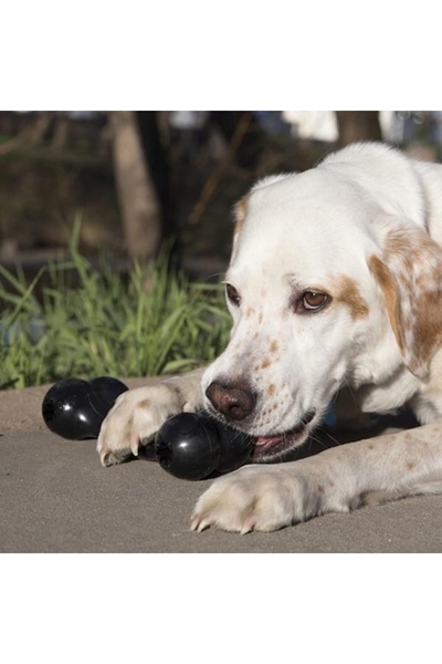 Kong Extreme Goodie Bone Kemik Şeklinde Çok Amaçlı Köpek Oyuncağı Ultra Sert L