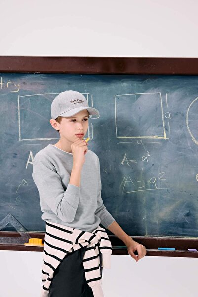 DeFacto Boy's School V-Neck Knitwear Sweater F3733A825Au