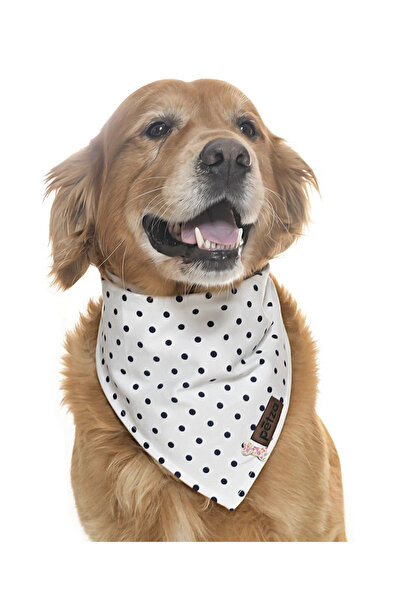 Petza باندانا للكلاب / أراغور