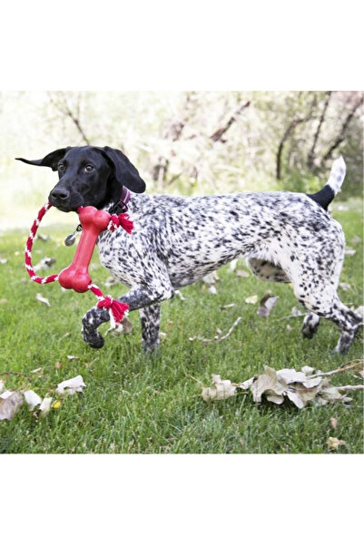 Kong Goodie Bone Kemik Şeklinde İp Sallantılı Köpek Oyuncağı Xsmall Kırmızı