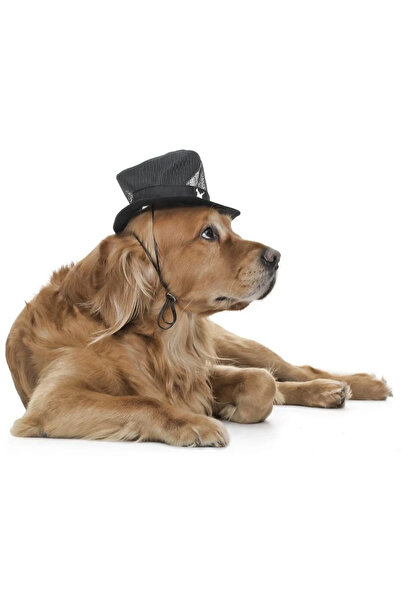 Petza Küçük ve Orta Irk Köpekler için Şapka - Sanne