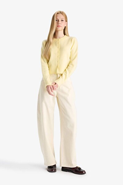 DeFacto Coool Slim Fit Dar Kesim Bisiklet Yaka Düğmeli Triko Hırka E8236AX25WN