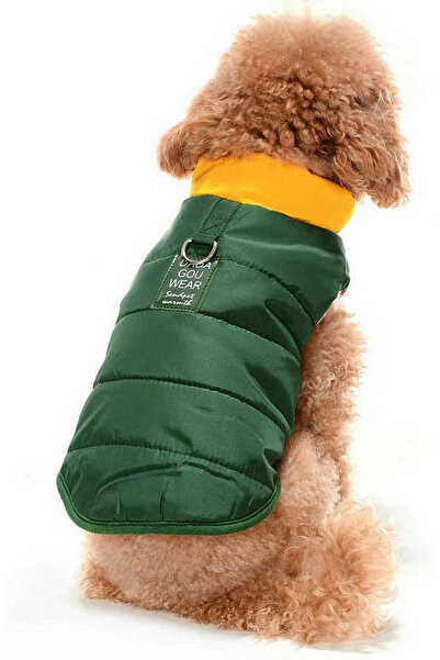 Petza Küçük ve Orta Irk Köpek Mont Murpota Yeşil