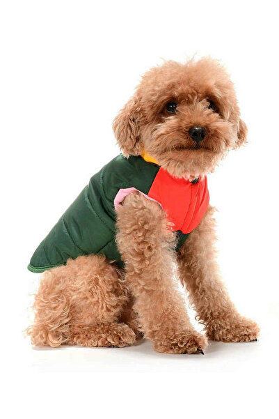 Petza Küçük ve Orta Irk Köpek Mont Murpota Yeşil