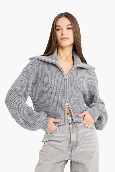 DeFacto Slim Fit Slim Fit Polo Neck Zippered Knitwear Cardigan A3333Ax25Wn