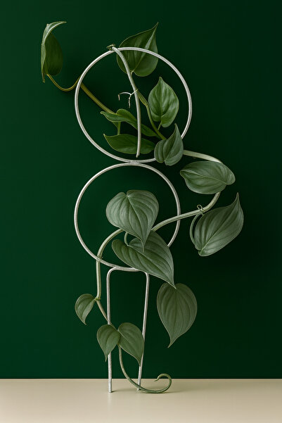 plot plant lovers of turkey Metal Bitki Desteği 56 cm Çift Halkalı El Yapımı ...