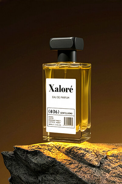 Xalore Eau De Parfume Gentiluomo 036 100 ML Erkek Odunsu Deri