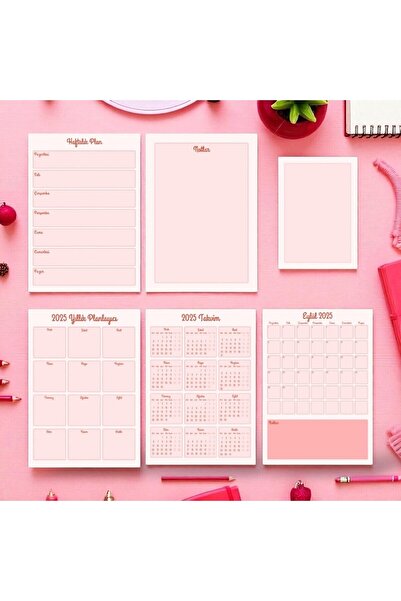 Gizemli Dünya 5'li 2025/2026 Haftalık/Aylık/Yıllık Planlayıcı Set/ Pembe