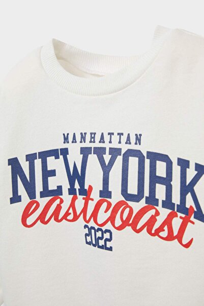 DeFacto Baby Boy Crew Neck Printed Sweatshirt E9222A525Au