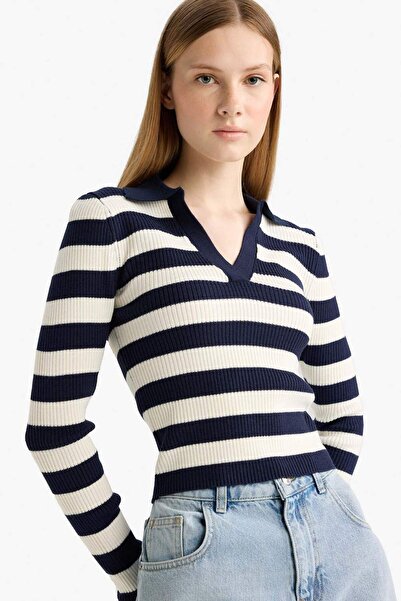 DeFacto Coool Slim Fit Вузький крій Поло з коміром Смугастий трикотажний светр A2060AX25WN