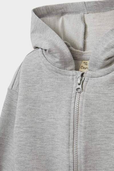 DeFacto Baby Boy Hooded Zippered Sweatshirt E8697A525Au