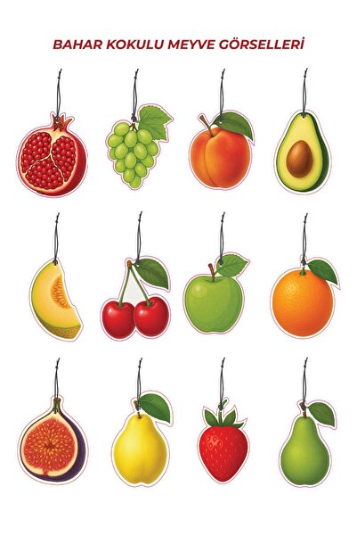 ByMeyla 12 قطعة من العطور الرائعة للسيارة برائحة الربيع الساحرة، معطر هواء لل...