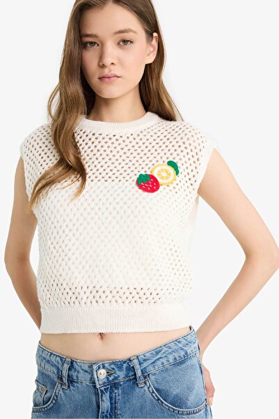 DeFacto Coool Crew Neck Fruit Embroidered Crochet Sweater F4009Ax25Sm