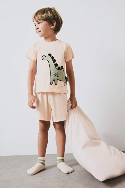 DeFacto Erkek Bebek 2'li Pijama Takımı Kısa Kollu Penye Tişort Beli Lastikli Şort E4778A525SM