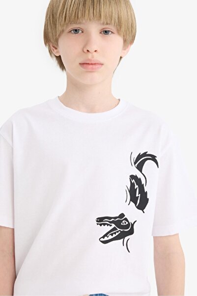 DeFacto Chlapecké tričko s krátkým rukávem a potiskem Crew Neck E0173A825HS