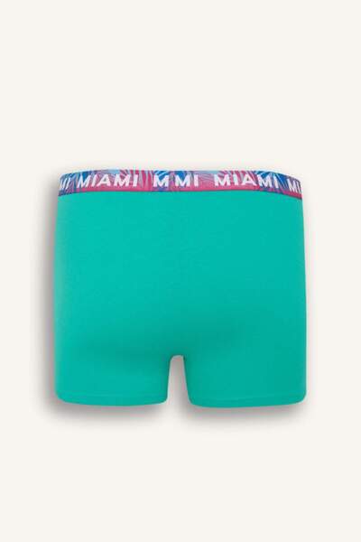 DeFacto Regular Fit 3'lü Boxer D9874AX25SP