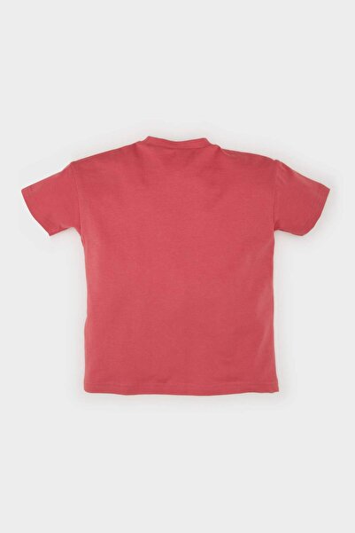 DeFacto Baby Boy Regular Fit Slogan Patterned Short Sleeve T-Shirt D7910A525Sm