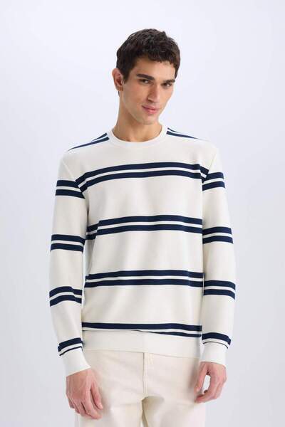 DeFacto Regular Fit Bisiklet Yaka Dokulu Sweatshirt D7595AX25SP