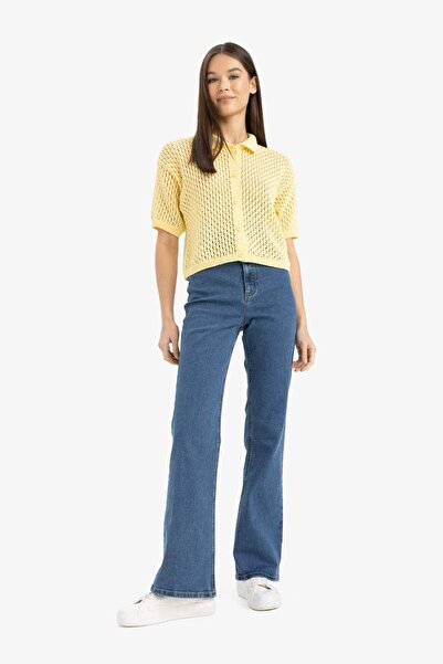 DeFacto Slim Fit Dar Kesim Polo Yaka Düğmeli Kroşe Hırka E4723AX25SP