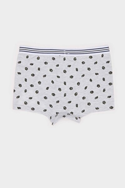 DeFacto Erkek Çocuk Kaktüs Desenli 3lü Boxer E6871A825SP
