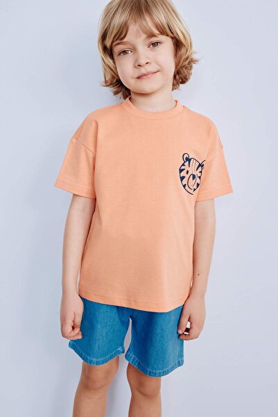 DeFacto Baby Boy Crew Neck Printed Short Sleeve T-Shirt D7910A525Sm