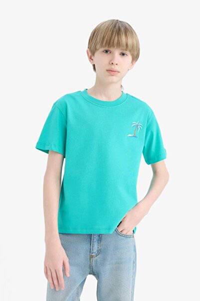 DeFacto Boy's Crew Neck Embroidered Short Sleeve T-Shirt E0087A825Sm