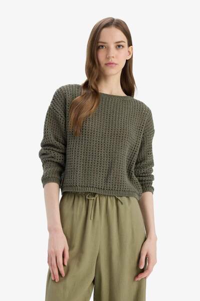 DeFacto Regular Fit Bisiklet Yaka Kroşe Triko Kazak T4513AZ25SP