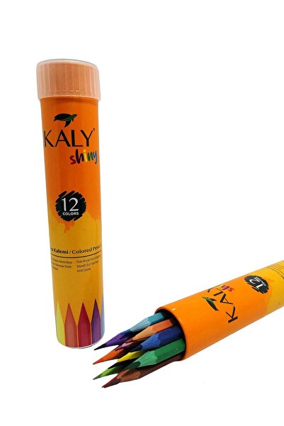 Kaly 12 علبة من الطلاء الجاف المعدني