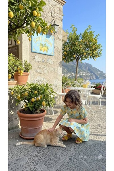 HÇ Hülya Çelik KİDSWEAR 2018 Girl's Lemon Patterned Dress