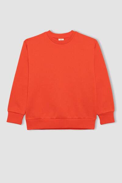 DeFacto Erkek Çocuk Regular Fit Bisiklet Yaka Sweatshirt B7772a8ns