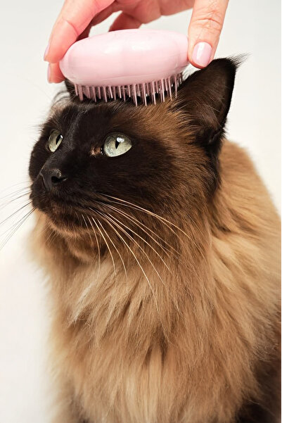 Tangle Teezer Pet Teezer Cat Grooming Brush Millennial Pink Cat Grooming Brush