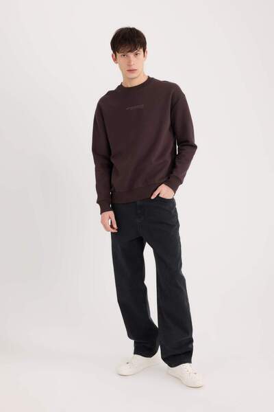 DeFacto Φούτερ με στάμπα Crew Neck Box Fit X8282az24au