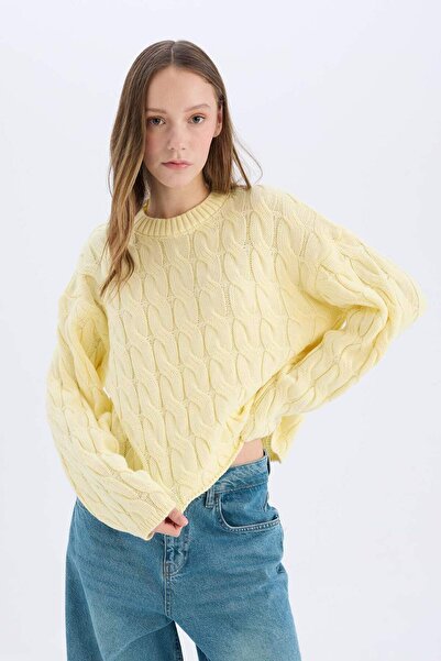 DeFacto Coool Regular Fit Bisiklet Yaka Saç Örgülü Triko Kazak E4604AX25SP