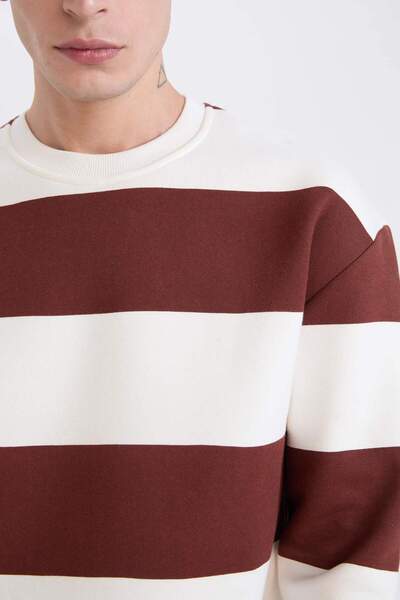 DeFacto Boxy Fit Bisiklet Yaka Çizgili Dokuma Etiketli Sweatshirt A9066AX24AU