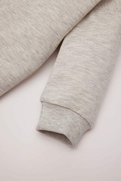 DeFacto Baby Boy Crew Neck Soft Feather Sweatshirt - E5263A524Wn