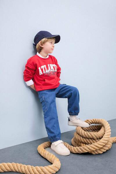 DeFacto Baby Boy Crew Neck Printed Sweatshirt D7757A525Sp