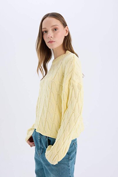 DeFacto Coool Regular Fit Bisiklet Yaka Saç Örgülü Triko Kazak E4604AX25SP