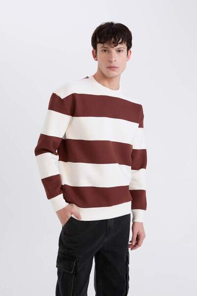 DeFacto Boxy Fit Bisiklet Yaka Çizgili Dokuma Etiketli Sweatshirt A9066AX24AU