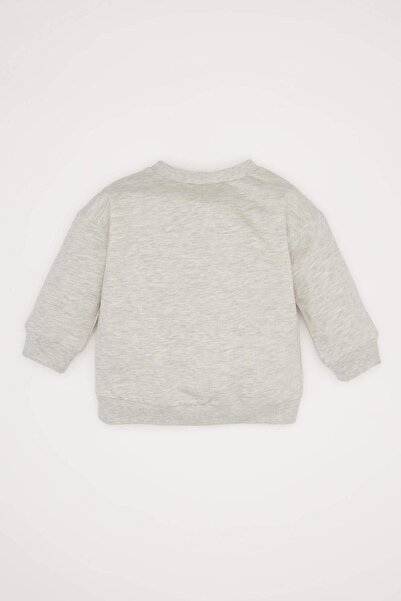 DeFacto Baby Boy Crew Neck Soft Feather Sweatshirt - E5263A524Wn