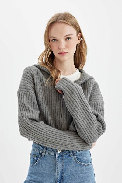 DeFacto Regular Fit Kapüşonlu Fermuarlı Triko Hırka C7335AX24WN