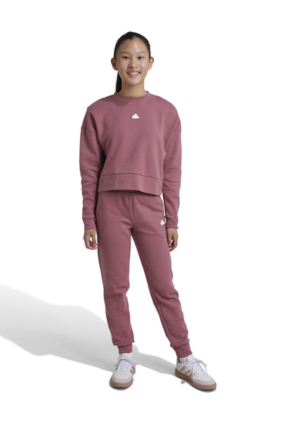 adidas Pembe Kız Çocuk Bisiklet Yaka Lastikli Bel Normal Kalıp Eşofman Takımı IX3635-G FI LOGO TS