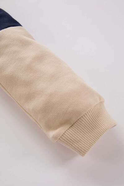 DeFacto Erkek Bebek Bisiklet Yaka Renk Bloklu İçi Yumuşak Tüylü Sweatshirt A9753A524WN