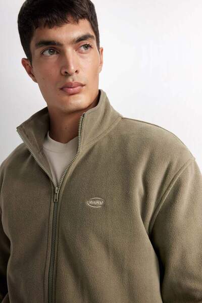 DeFacto Relax Fit Dik Yaka Polar Fermuarlı Sweatshirt D2349AX24AU